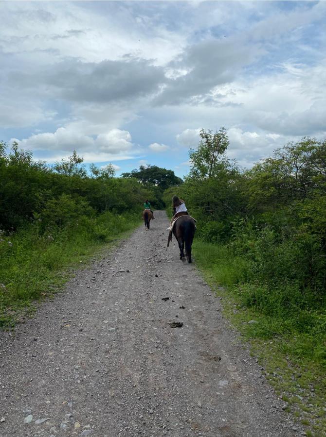 Paseo De Los Poetas Esteco 260 Салта Екстериор снимка